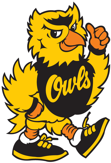 Kennesaw State Owls 1992-2011 Mascot Logo diy iron on heat transfer